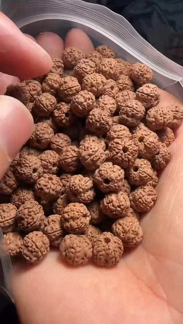 手串金刚菩提非全品老树玉梅花散籽9-10mm一份一百颗