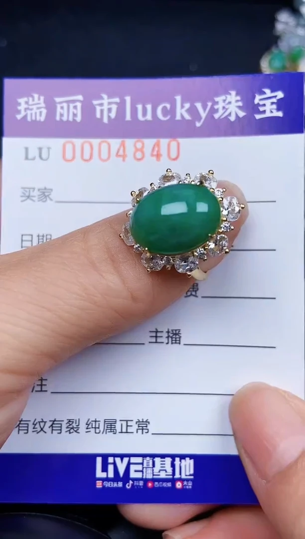 翡翠银S925镶嵌颈饰4840