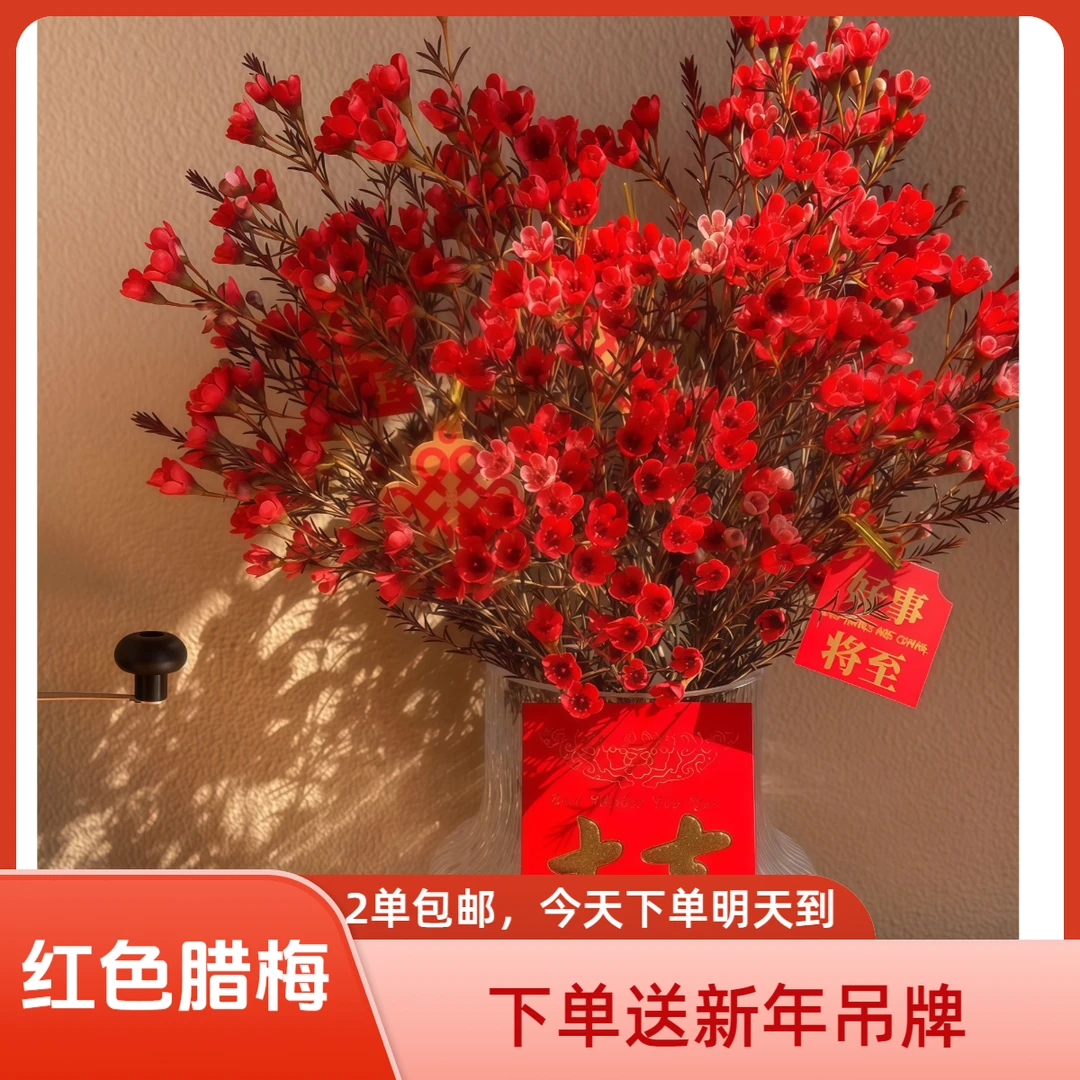 年宵花{腊梅红色1扎花期长】吸色腊梅鲜切花生活插花今天下单次日达任意俩单包邮