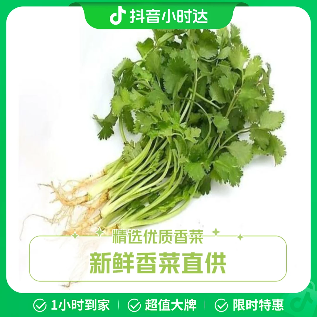 香菜100g