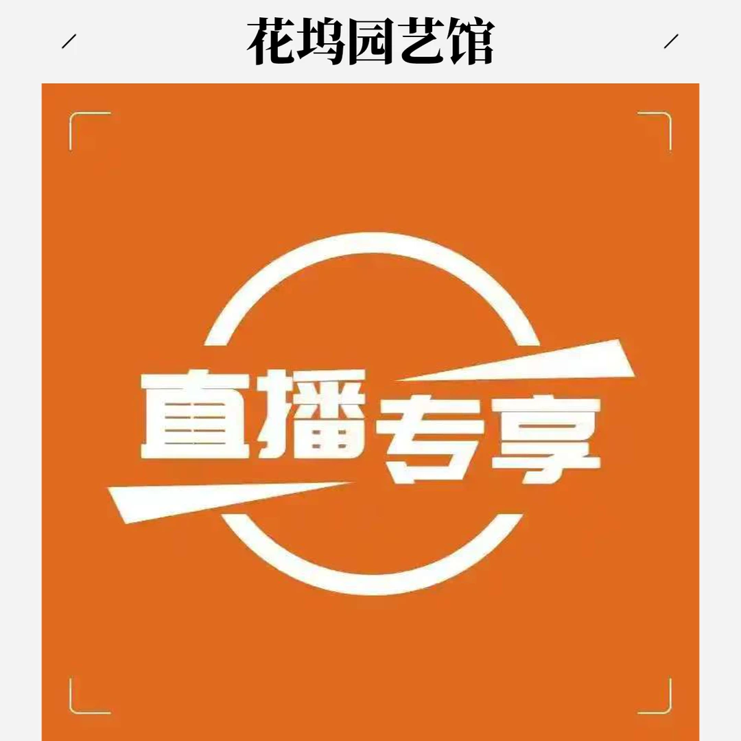 【直播专享】方盆、罗马盆、多肉盆直播福利