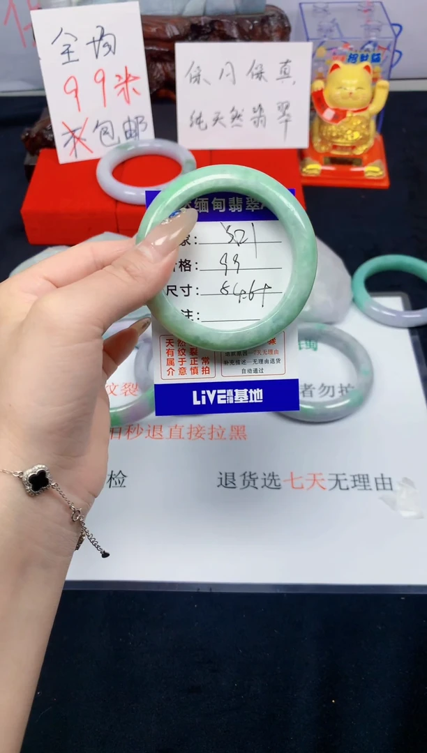 未镶嵌手镯翡翠21