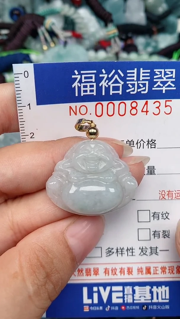 翡翠未镶嵌颈饰...0008435