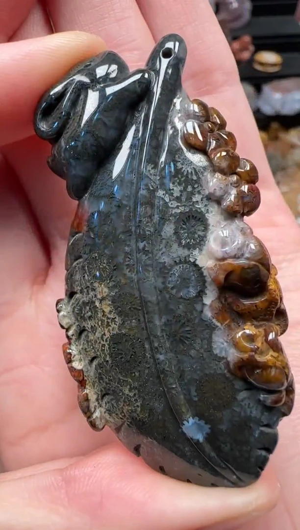 颈饰未镶嵌硅化珊瑚（珊瑚玉）829