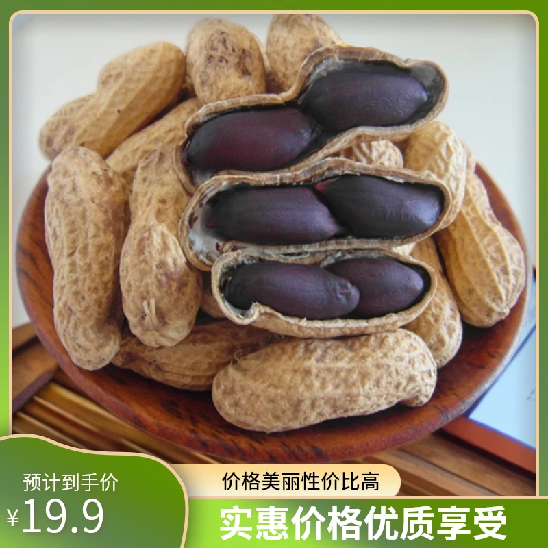 【2025年新货】农村自家种植富硒黑花生晒干带壳大粒紫皮花生
