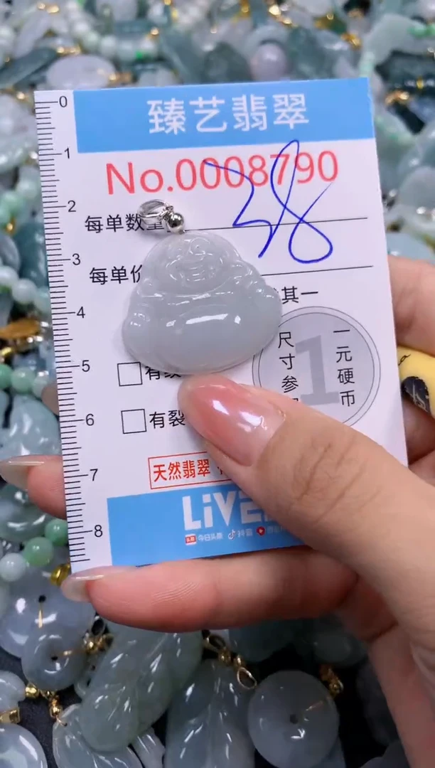 颈饰未镶嵌翡翠8790