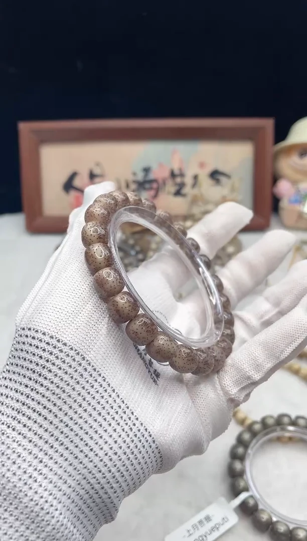 手串星月菩提l30 10x9 e041