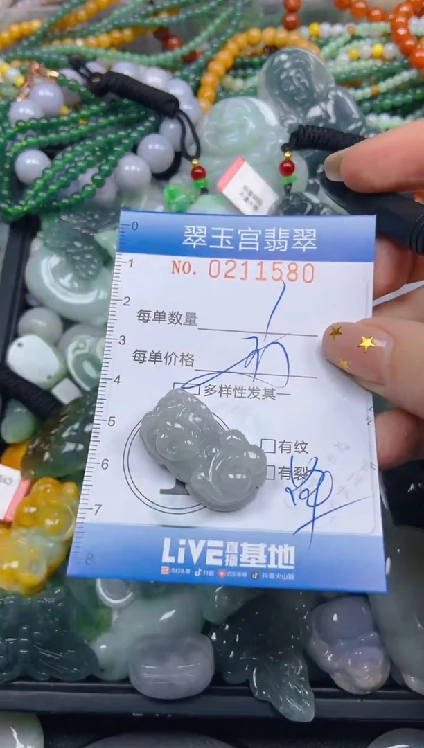 颈饰未镶嵌翡翠闪购C0211580多样性发其一