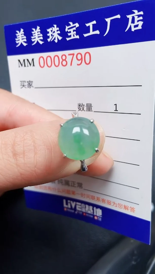 翡翠银S925镶嵌颈饰8790