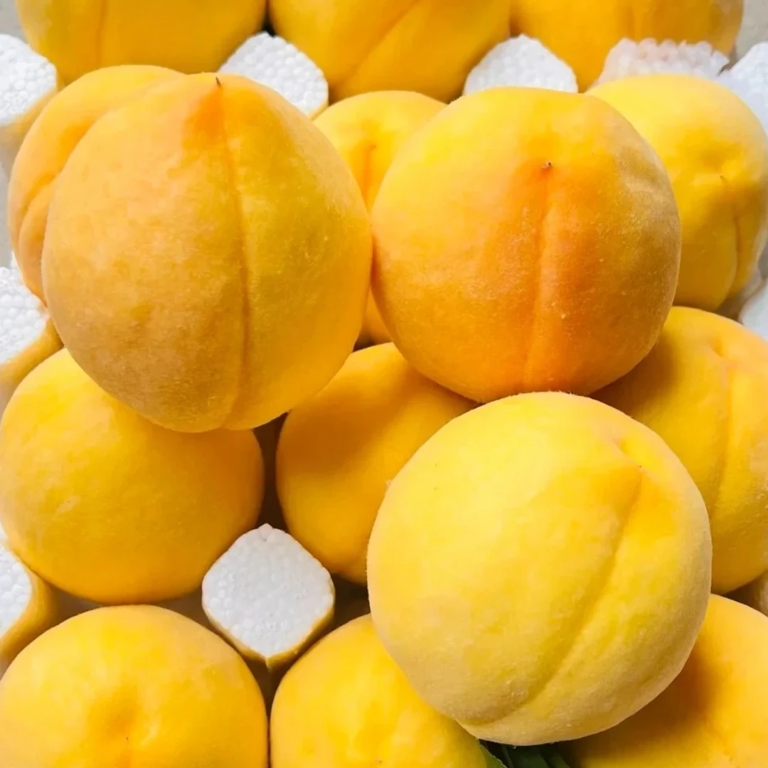 开州长沙锦秀黄桃新鲜水果脆甜多汁现采现发