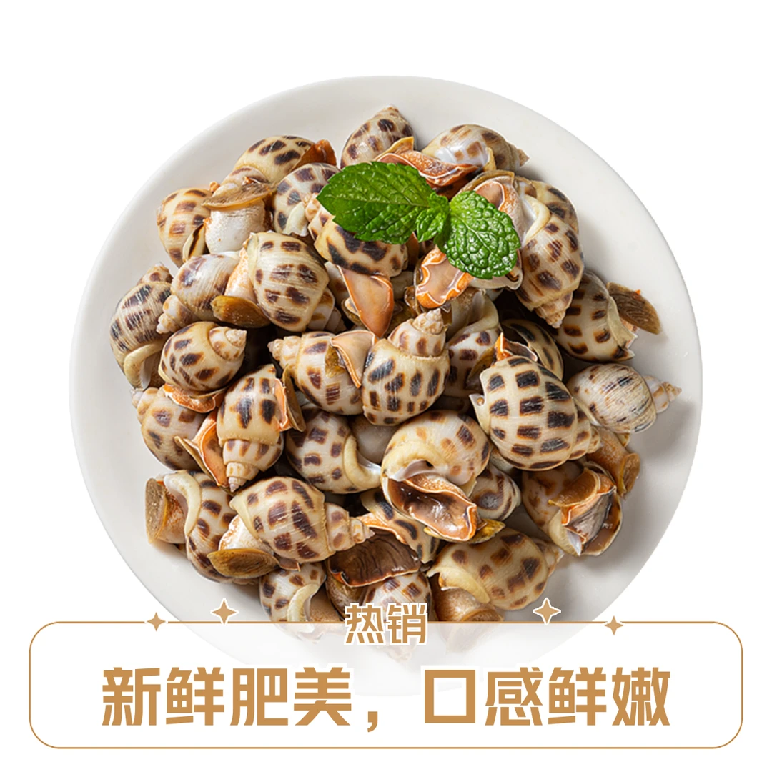 《万鑫海鲜》花螺一斤花螺同城送