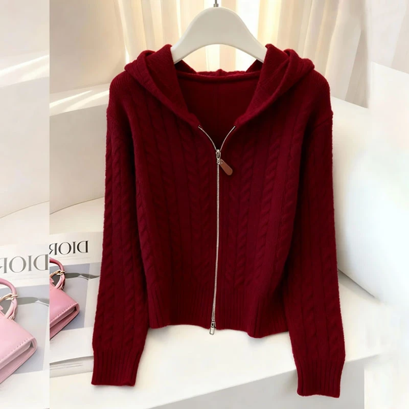 25秋冬新款复古麻花双拉链连帽针织外套女高级感加厚宽松毛衣开衫