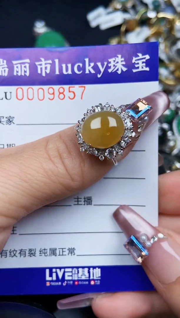 翡翠银S925镶嵌颈饰9857