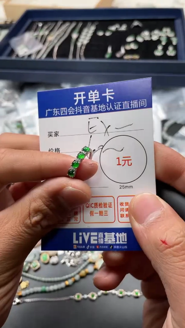 颈饰未镶嵌翡翠E*E挂件