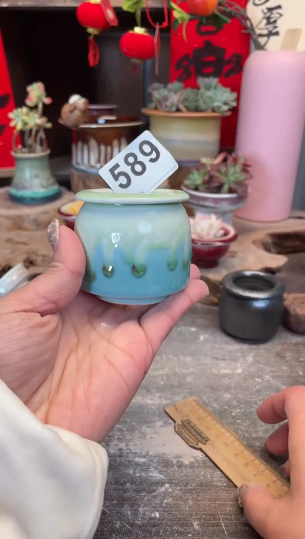 【闪购商品】摆件589知木小芳花盆