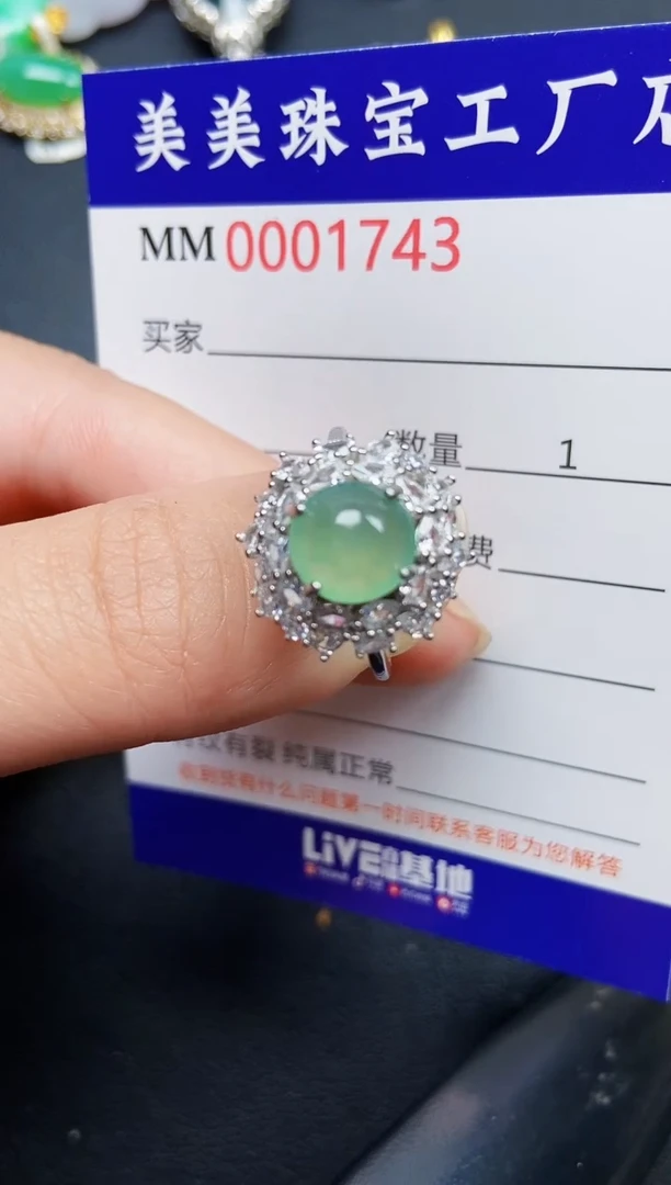 翡翠银S925镶嵌颈饰1743