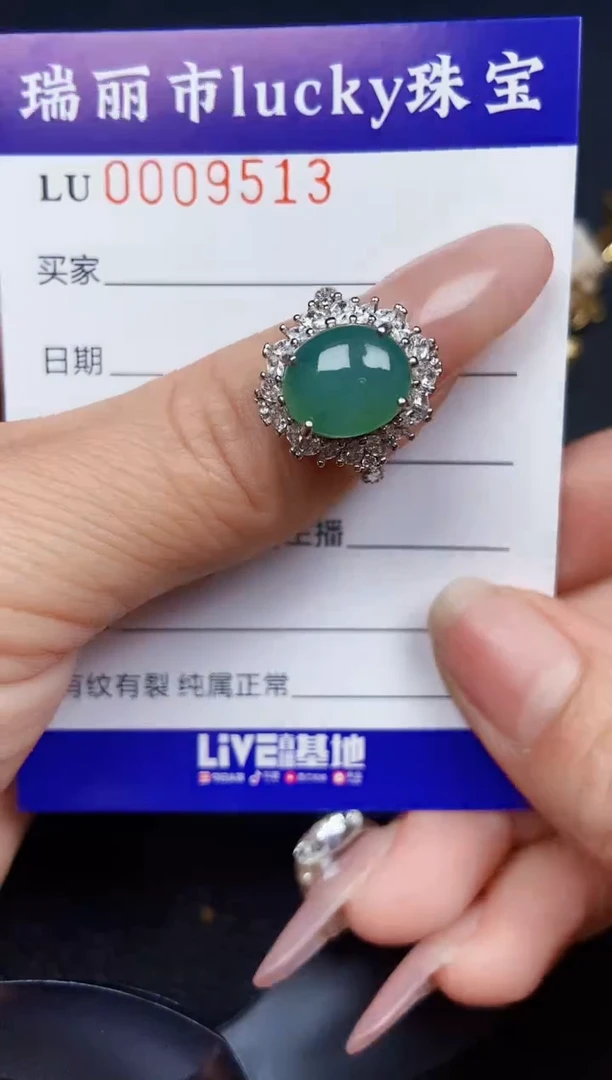 翡翠银S925镶嵌颈饰9513