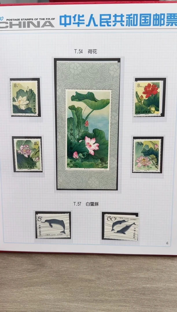 T54M   荷花 型张