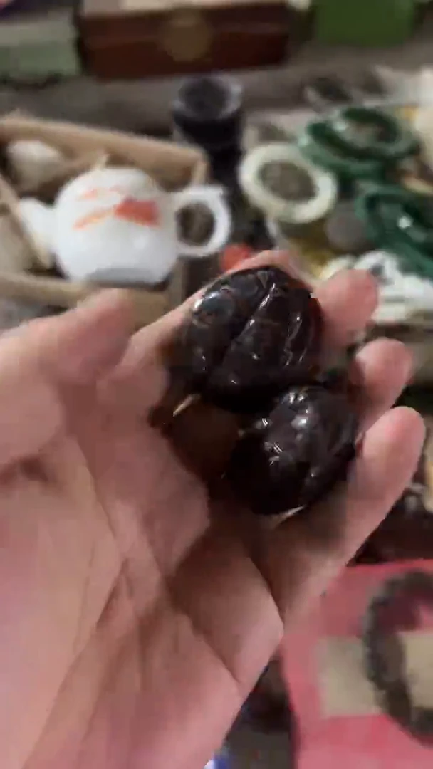 紫砂紫砂紫砂紫砂紫砂紫砂