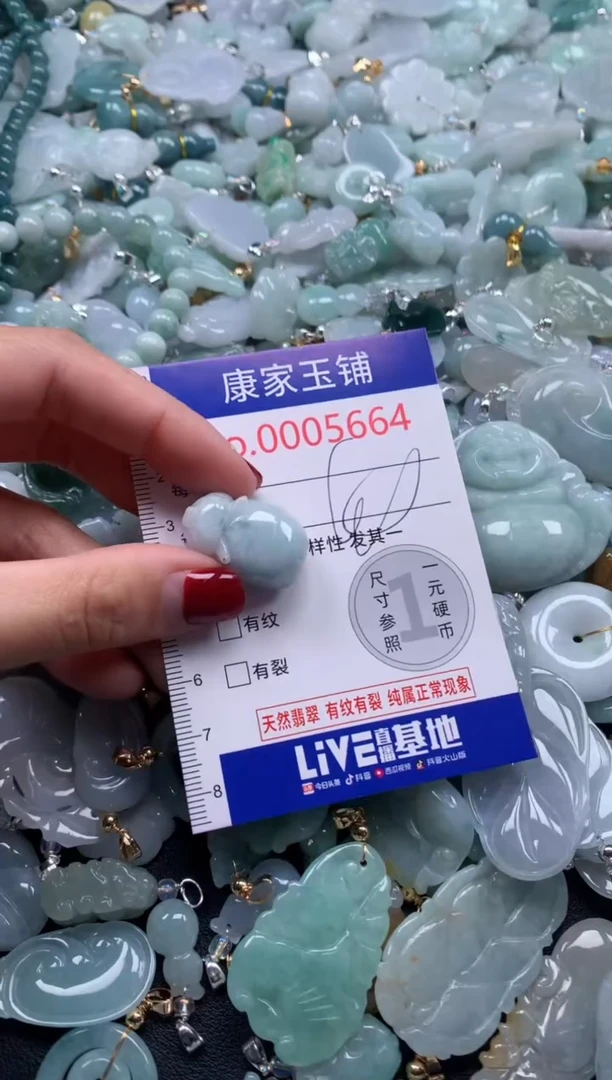 颈饰未镶嵌翡翠5664