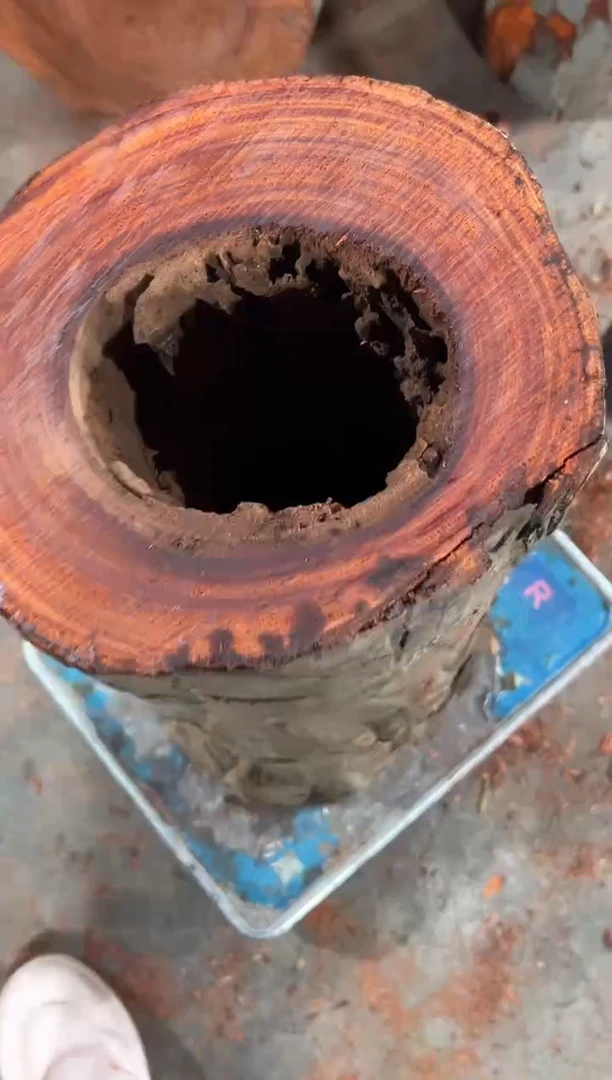 紫檀木类端景台树*赞比亚血檀 非洲紫檀