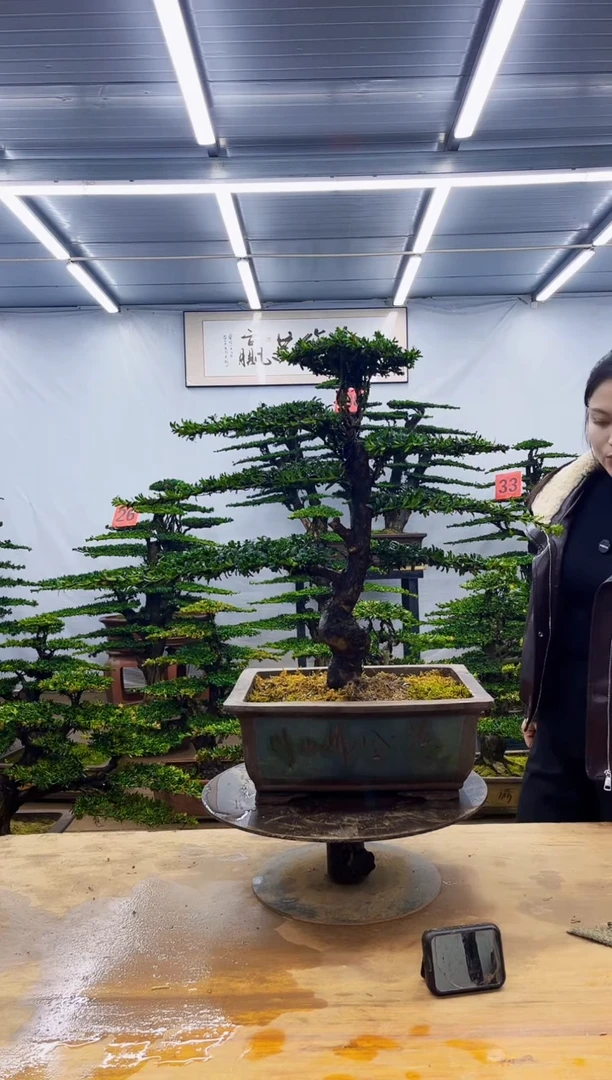 无花朵一物一拍，所见即所得