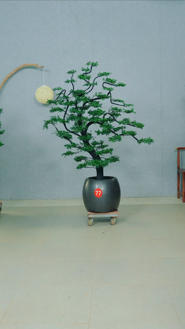 无花朵遇****然广东小叶紫檀