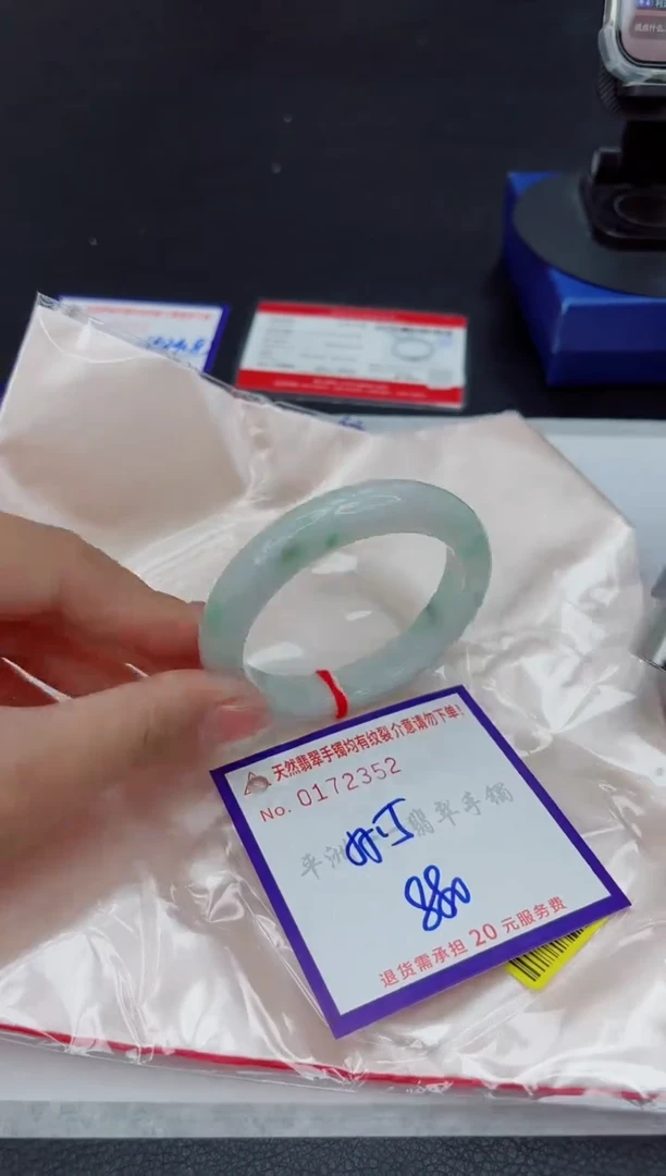 未镶嵌手镯翡翠1