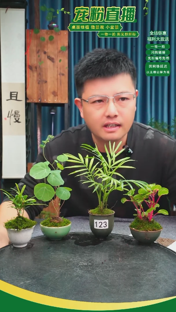 无花朵醉*思苔藓微景观123号