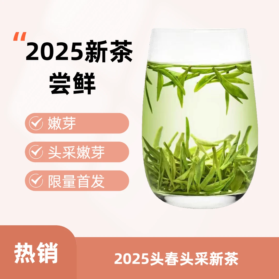 2025年新茶手工绿茶全芽浓香型新茶头春头采小米芽尝鲜50g