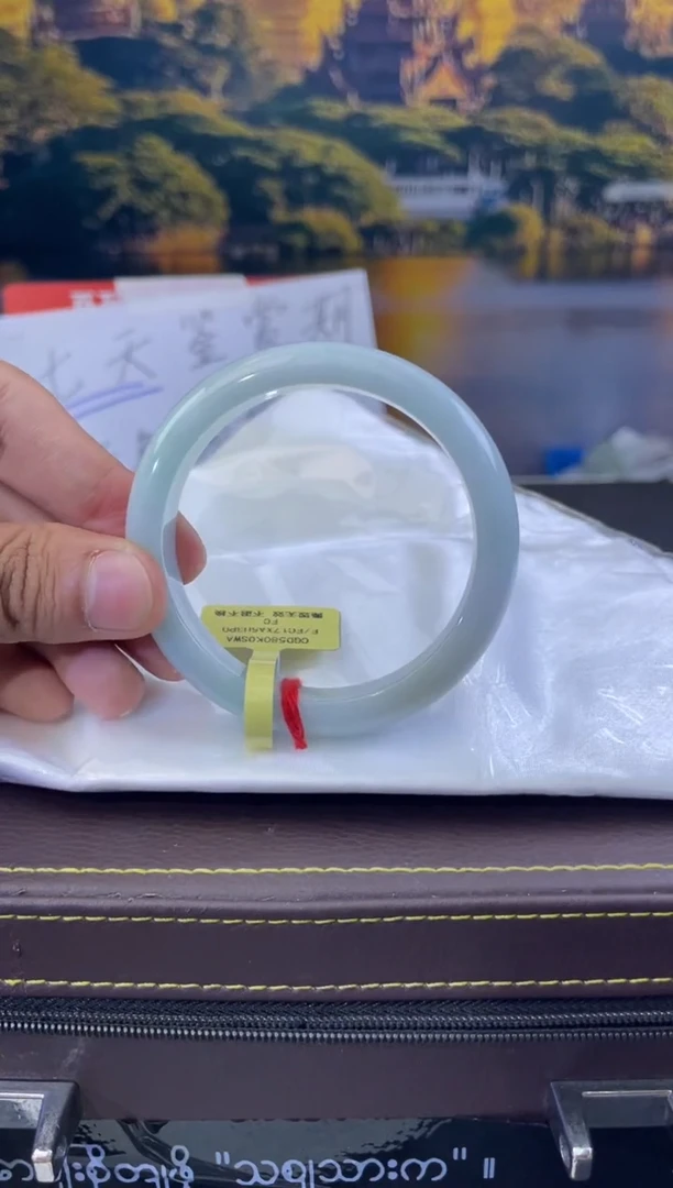 未镶嵌手镯翡翠8