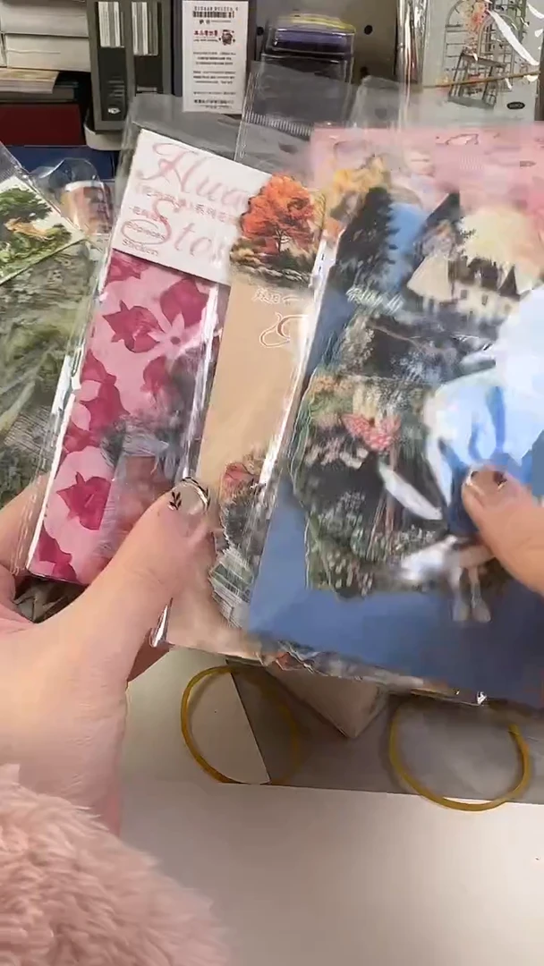 黛*娜1-19 花坊时光贴纸 4包