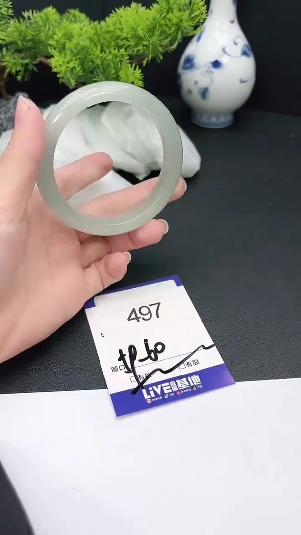 未镶嵌手镯翡翠497