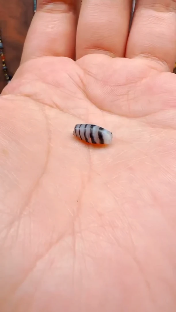 【肖钟出品】东南亚配珠