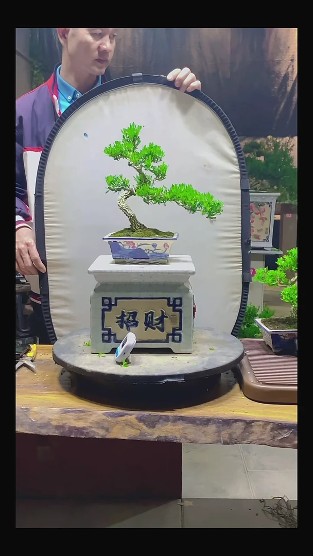 完全开放成*1111111111