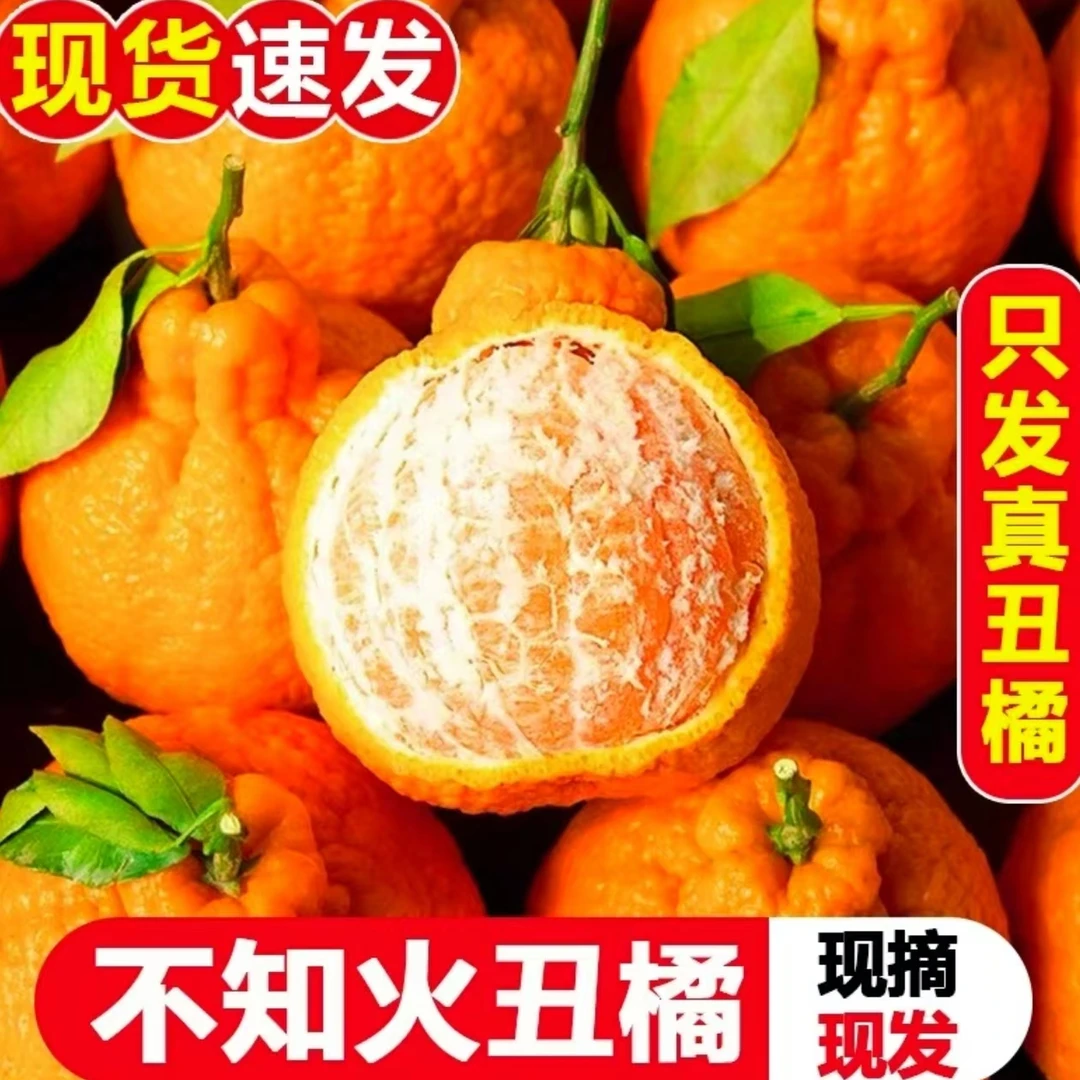 四川正宗不知火丑橘丑八怪新鲜水果当季果园直供箱非春见耙耙柑