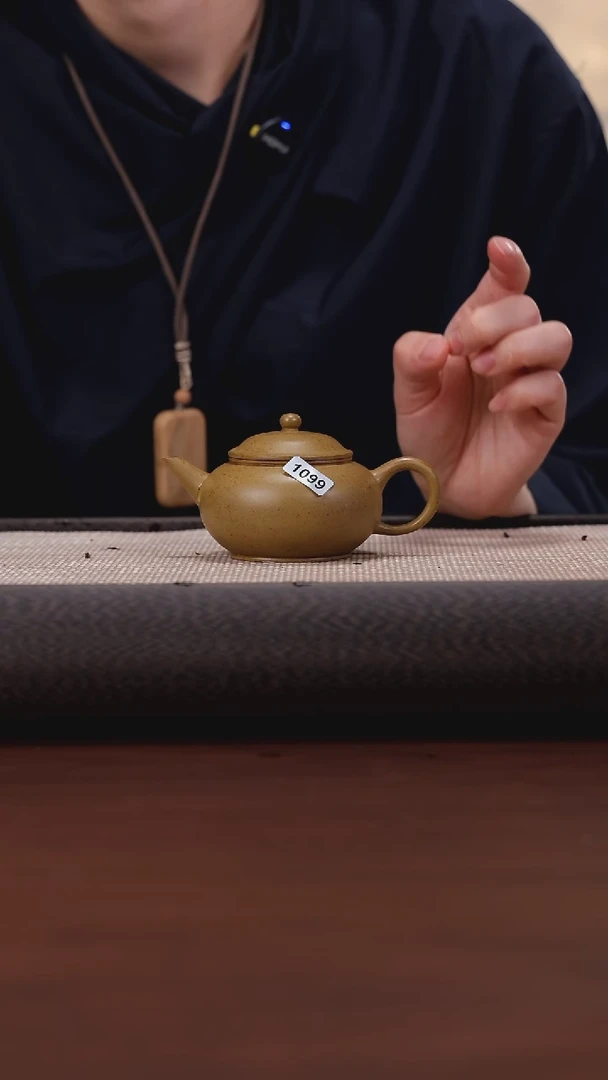 【闪购商品】紫砂茶壶199 WZ 柴烧 水平 120cc