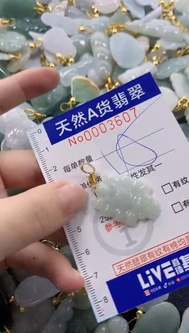 颈饰未镶嵌翡翠天然A货翡翠