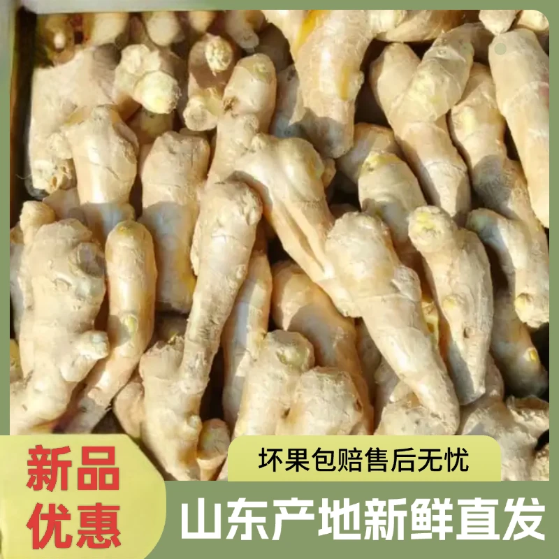山东新鲜大姜老姜小黄姜洗头葱姜蒜泡脚商用