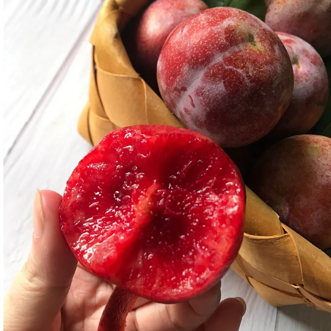 新鲜三华李李现摘当季水果酸甜可口红心脱骨脆甜脆李子1清脆绿色