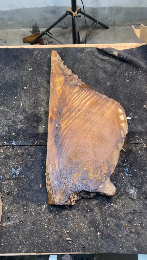 保*金丝楠小叶桢楠1