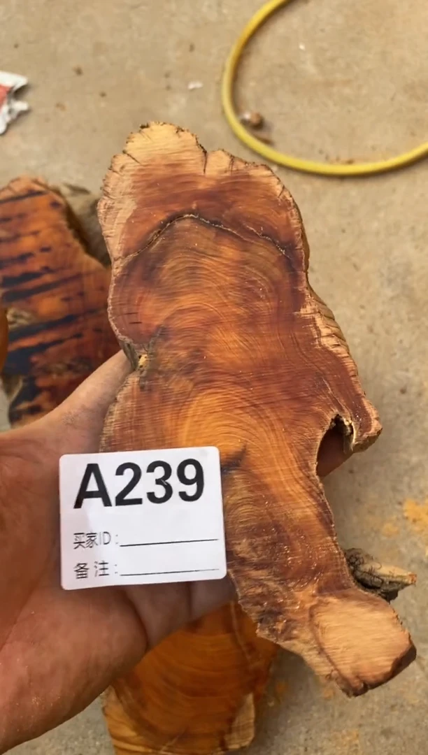 柏木太行山陈化崖柏切片一片