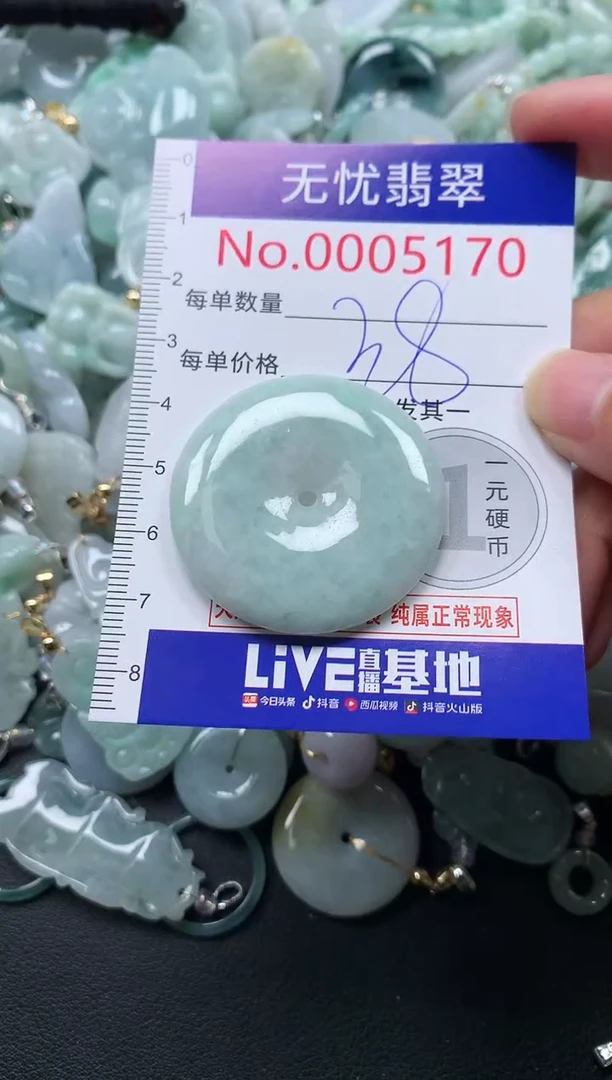 颈饰未镶嵌翡翠5170