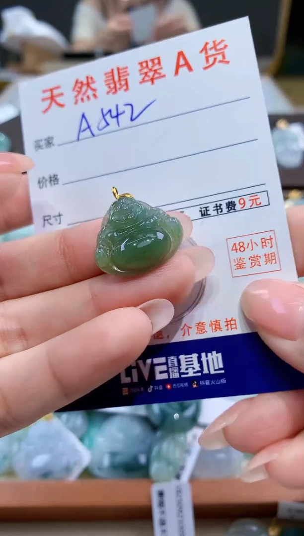 颈饰未镶嵌翡翠天然翡翠A货挂件