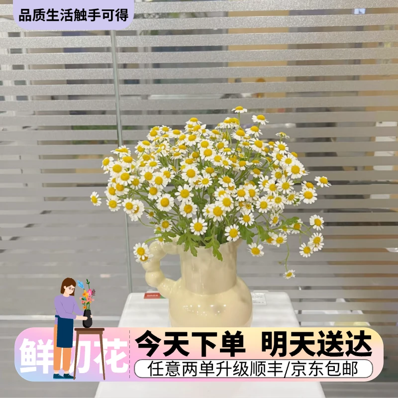 『洋甘菊』今日下单明日送达 生活鲜切花同城批发直播