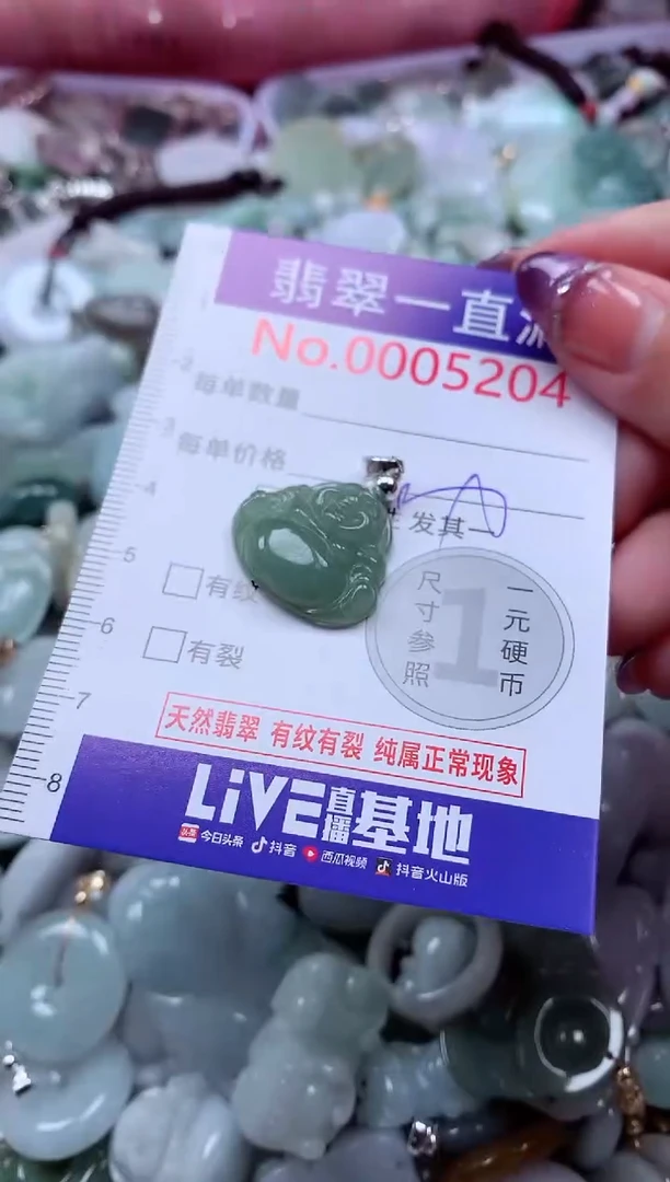 翡翠未镶嵌吊坠(不含链)5204