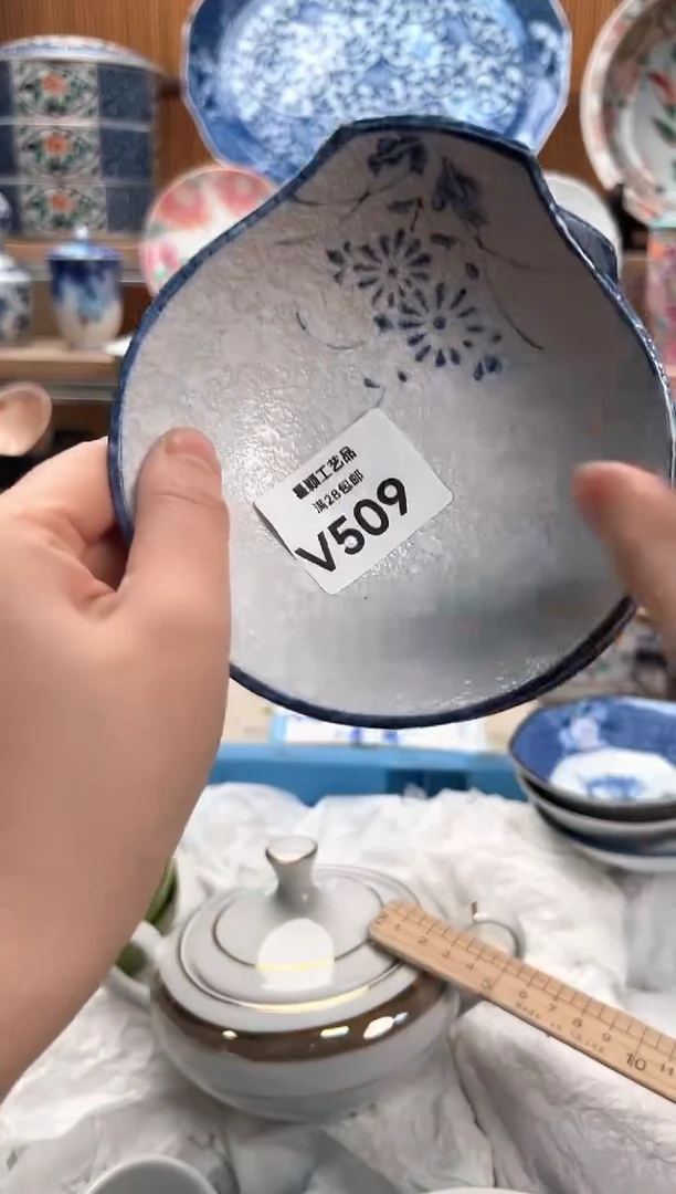 瓷片丽*509V满28包邮 不满找客服延迟发货