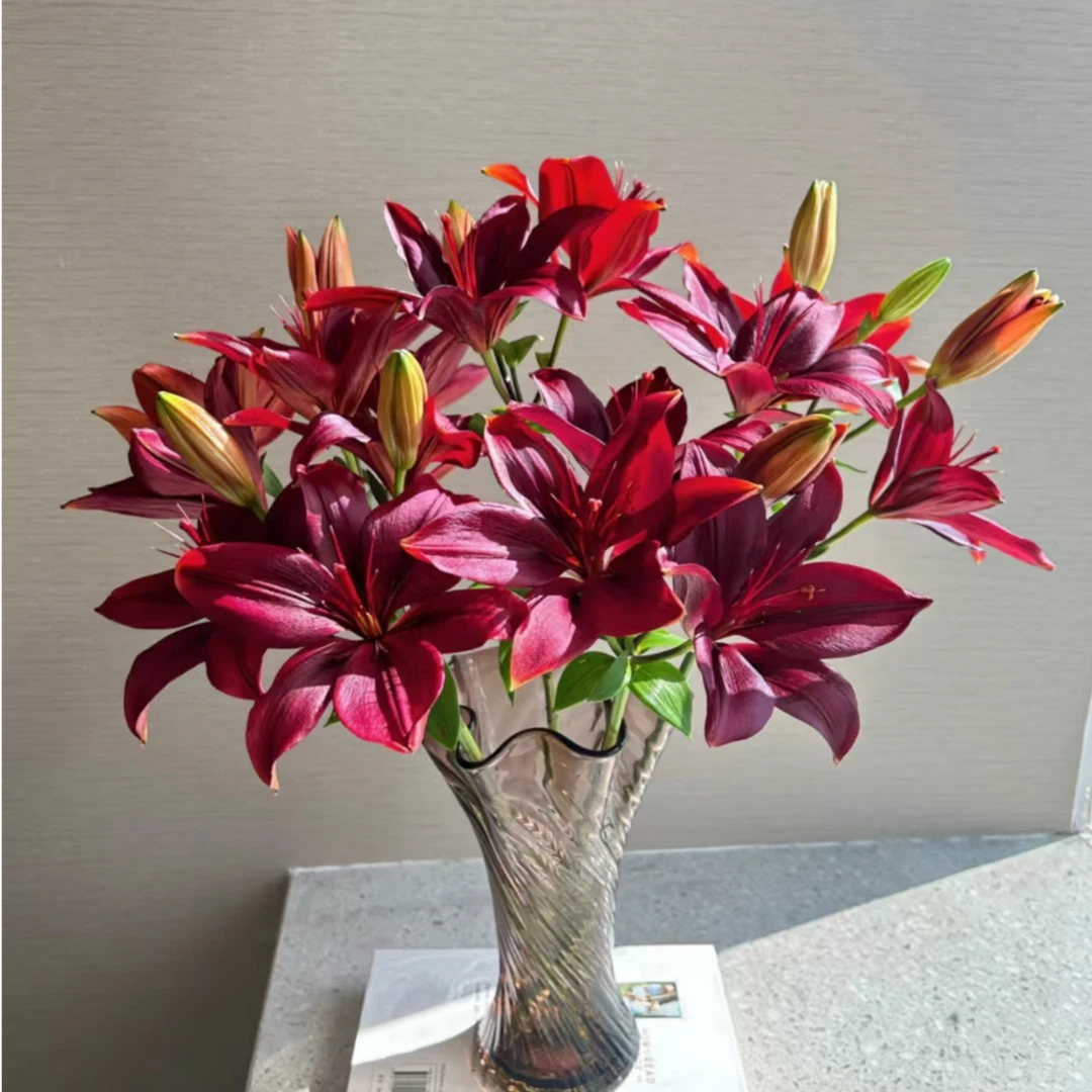 【英英鲜花】黑石 无香亚百合 任意2单顺丰或德邦 发货后不支持退款