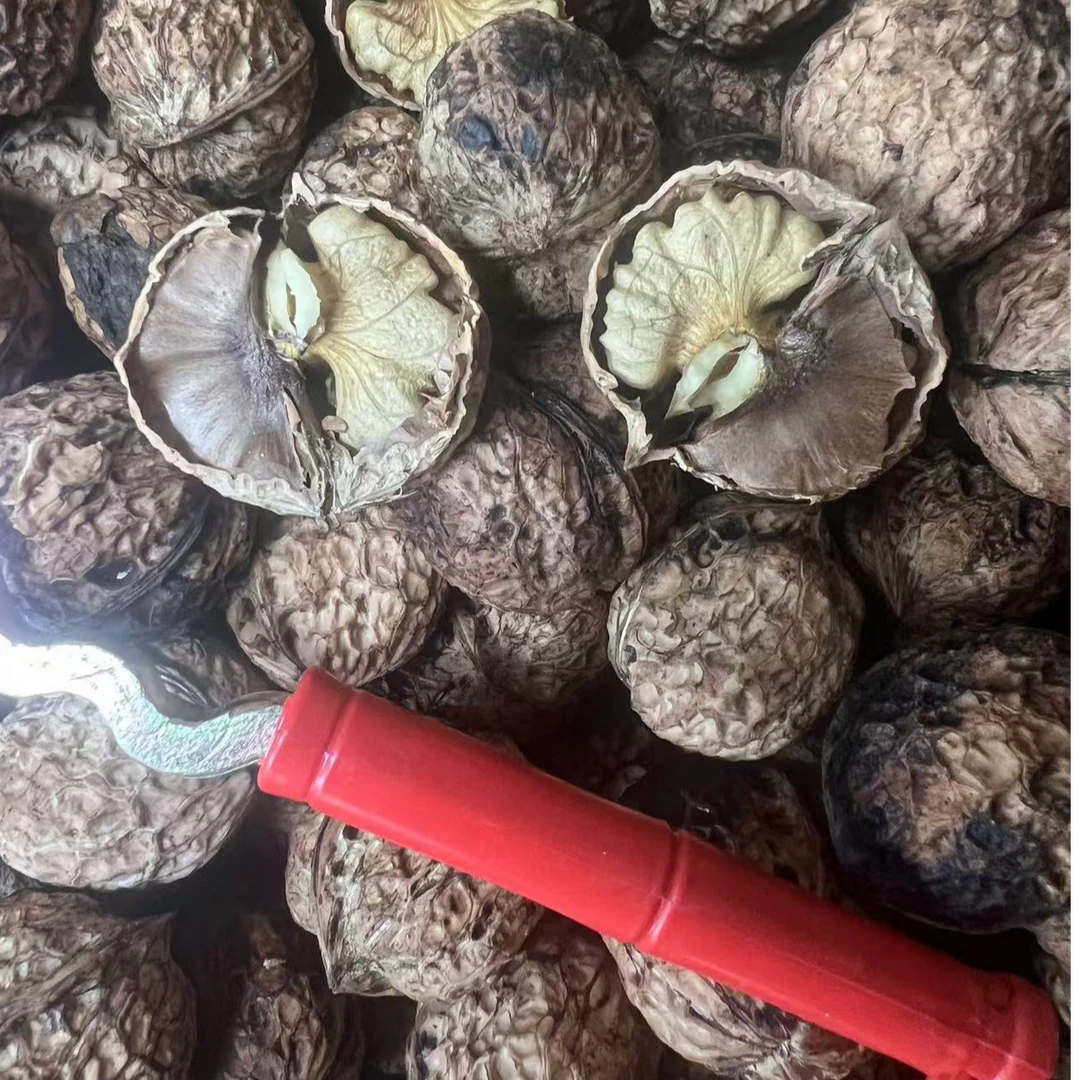 云南老树薄皮核桃滇红精选产自滇红凤庆