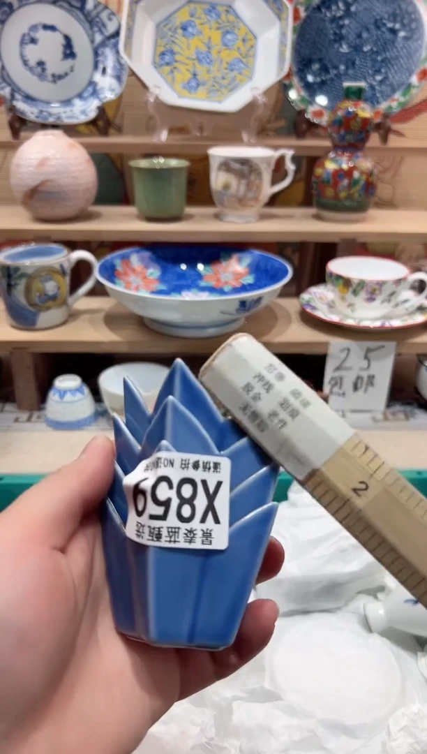 【闪购商品】瓷片当天凑满25米包邮X859